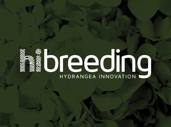 HiBreeding branding