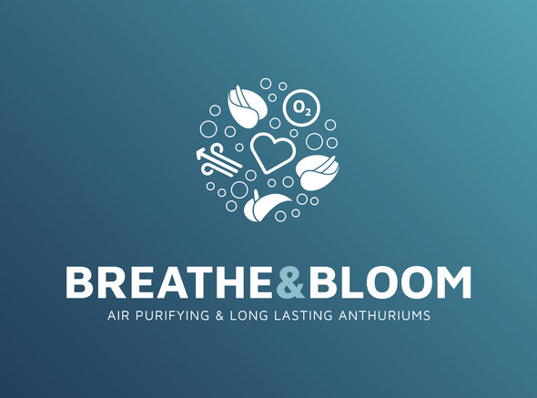 Breathe&Bloom