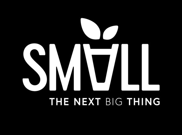 Small the next BIG thing!