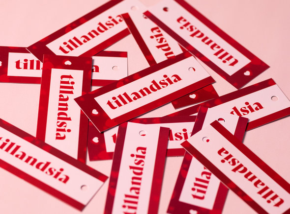 Tillandsia labels